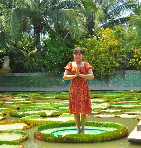 exploring the unique lotus leaf pagoda of dong thap province hinh 4