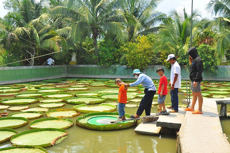 exploring the unique lotus leaf pagoda of dong thap province hinh 5