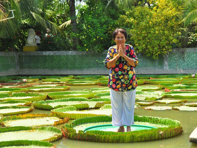 exploring the unique lotus leaf pagoda of dong thap province hinh 6