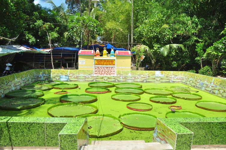 exploring the unique lotus leaf pagoda of dong thap province hinh 9