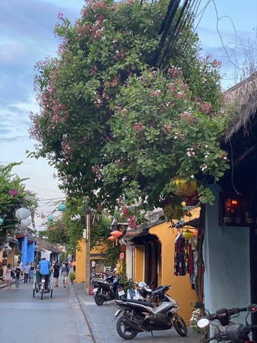 crowds returning to hoi an marks start of post-pandemic period hinh 4