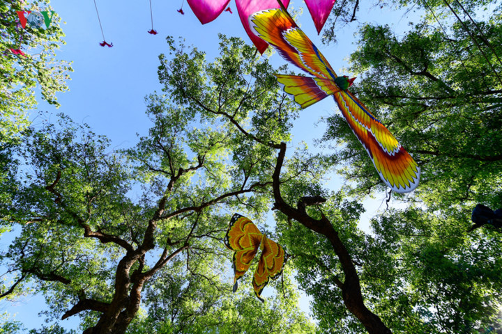 hue kite festival 2019 flies high on opening day hinh 1