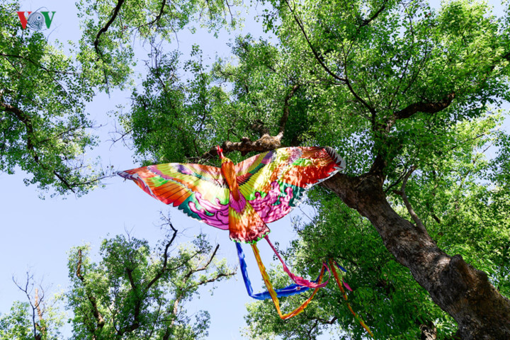 hue kite festival 2019 flies high on opening day hinh 2