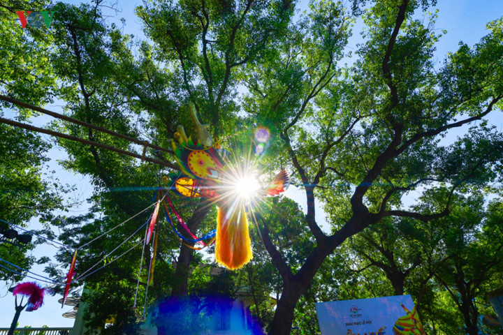 hue kite festival 2019 flies high on opening day hinh 4