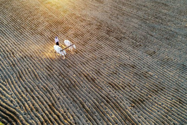 works of local photographers among the top 50 at agora images hinh 13