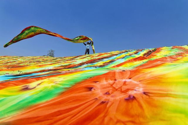 works of local photographers among the top 50 at agora images hinh 15