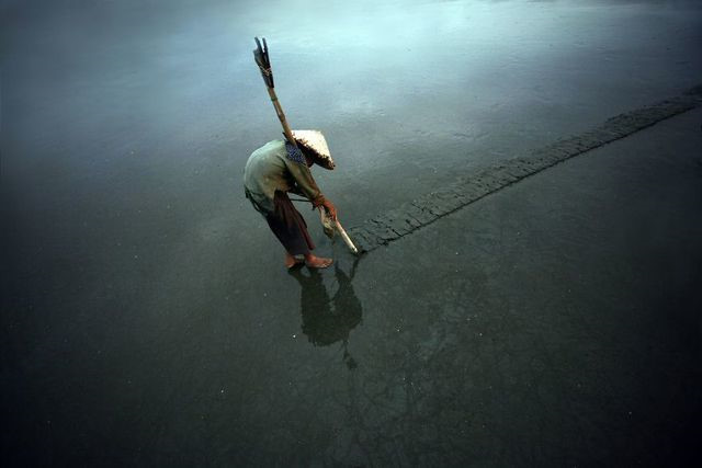 works of local photographers among the top 50 at agora images hinh 2