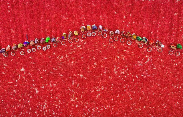 works of local photographers among the top 50 at agora images hinh 8