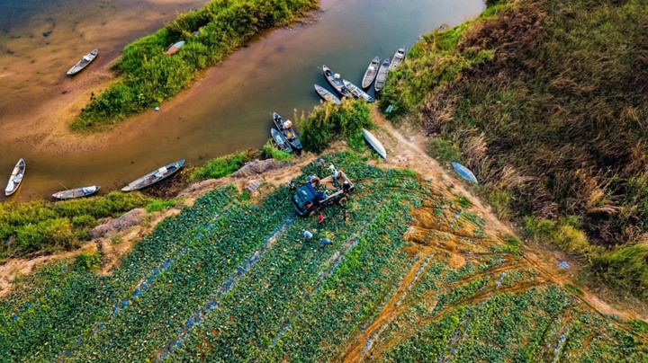 stunning beauty of quang ngai captured from above hinh 11