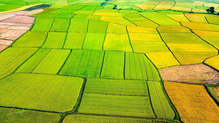 stunning beauty of quang ngai captured from above hinh 15