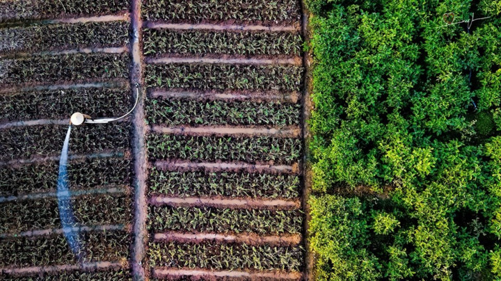 stunning beauty of quang ngai captured from above hinh 17