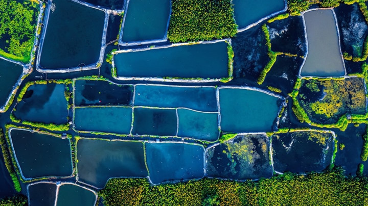 stunning beauty of quang ngai captured from above hinh 2