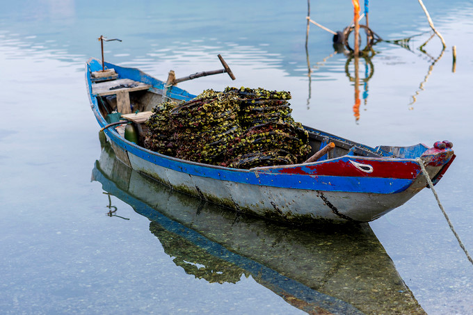 discover the beauty of lap an lagoon hinh 5