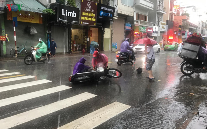 trees across hanoi devastated by tropical storm hinh 10