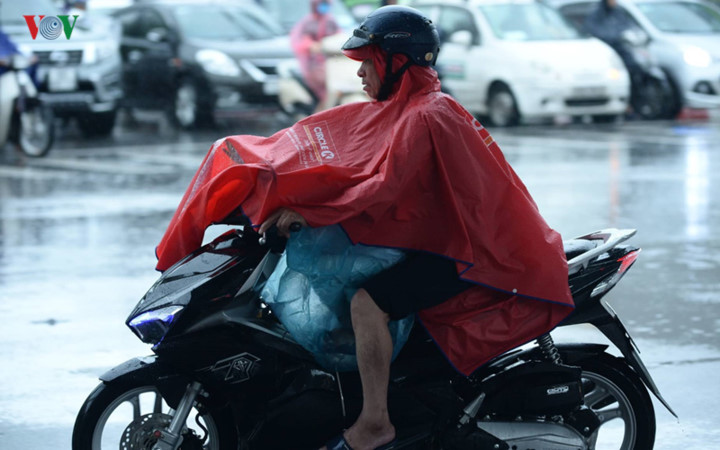 trees across hanoi devastated by tropical storm hinh 11