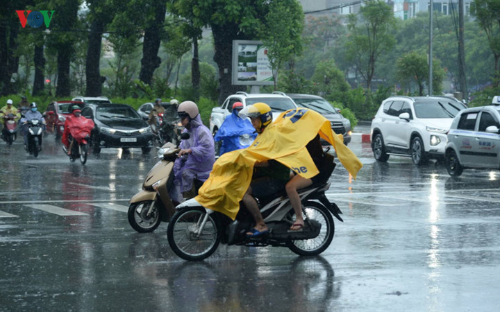trees across hanoi devastated by tropical storm hinh 12