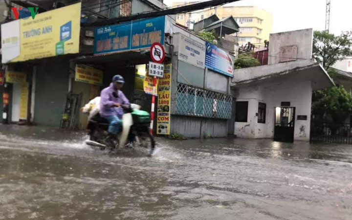 trees across hanoi devastated by tropical storm hinh 13