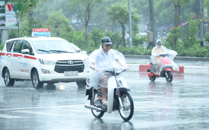 trees across hanoi devastated by tropical storm hinh 14