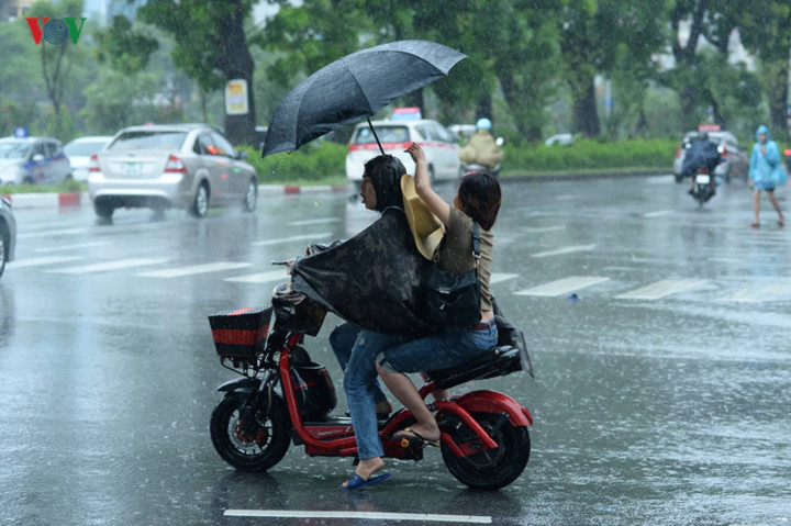 trees across hanoi devastated by tropical storm hinh 15