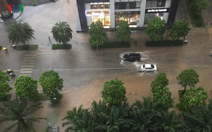 trees across hanoi devastated by tropical storm hinh 17