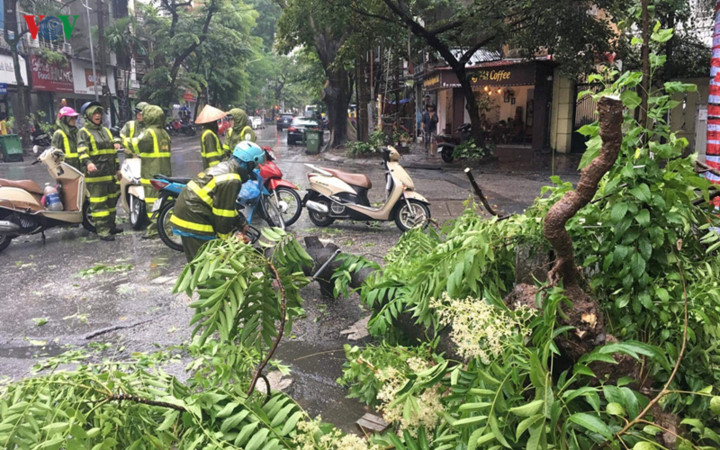 trees across hanoi devastated by tropical storm hinh 3