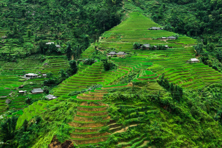 beauty of vietnam as seen through the lens of a french photographer hinh 10