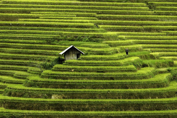 beauty of vietnam as seen through the lens of a french photographer hinh 2