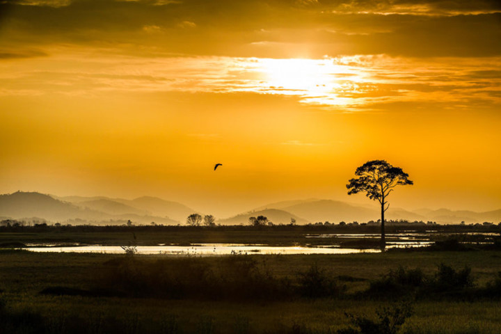 beauty of vietnam as seen through the lens of a french photographer hinh 3