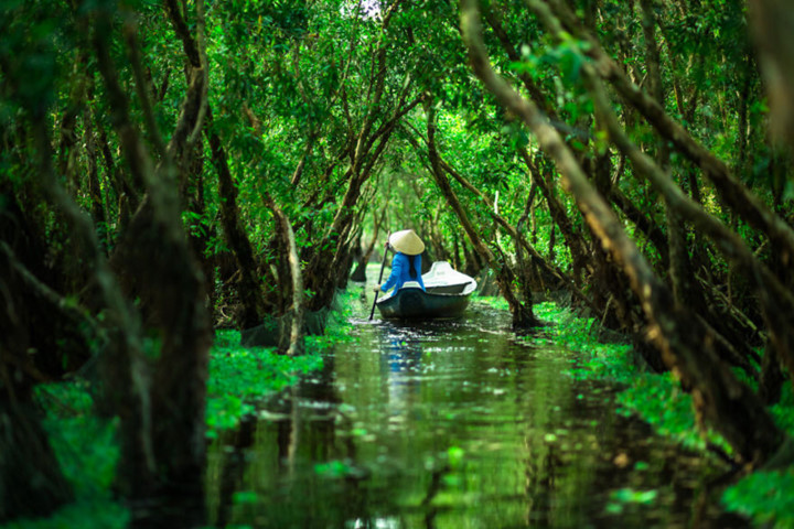 beauty of vietnam as seen through the lens of a french photographer hinh 4