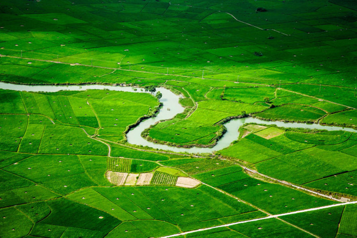 beauty of vietnam as seen through the lens of a french photographer hinh 6