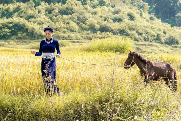 luong thuy linh unveils miss world 2019 introduction video hinh 2