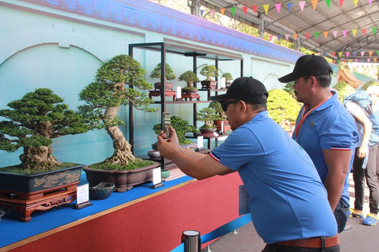 thousands of bonsai go on show at asia-pacific exhibition hinh 2