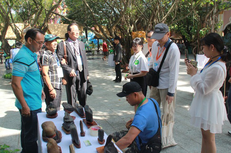 thousands of bonsai go on show at asia-pacific exhibition hinh 4