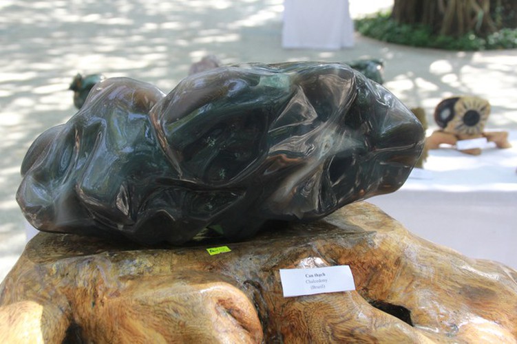 thousands of bonsai go on show at asia-pacific exhibition hinh 22