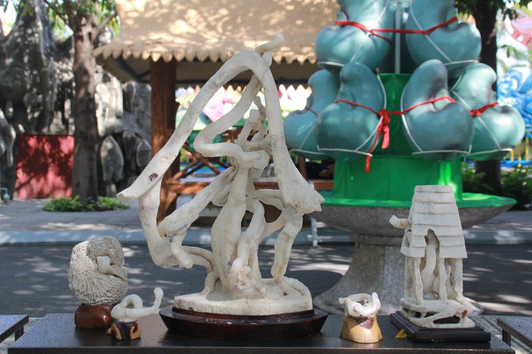 thousands of bonsai go on show at asia-pacific exhibition hinh 25