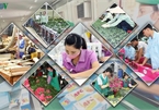 Bright spots emerge despite slowdown in economic growth