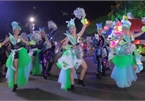 Street carnival whips up excitement among Da Nang crowds