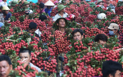 Impressive photos taken by Hanoi journalists put on display