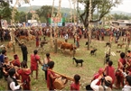 Arieu Ping, the reburial festival of the Pa Ko