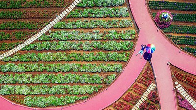 Stunning Vietnamese images displayed in Sony World Photography Awards