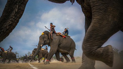Winners of Vietnam heritage photo contest 2019 announced