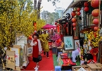 Calligraphy street in HCM City opens in countdown to Tet