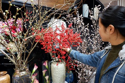 Expensive imported flowers a hot item for Tet