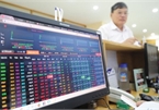 Investment funds remain active in Vietnamese stock market