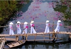 Vietnamese photographer wins #Spring2020 contest for best photo