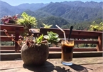 Foreign website suggests leading coffee shops in Sapa