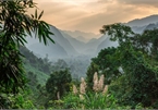 Majestic Phong Nha-Ke Bang National Park through lens of foreign photographer