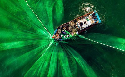 Vietnamese photographer wins place in 50 best photos of #Green2020