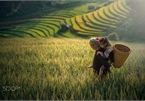 Ha Giang province captured through lens of photographers