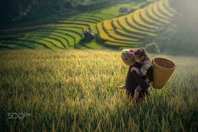 Ha Giang province captured through lens of photographers